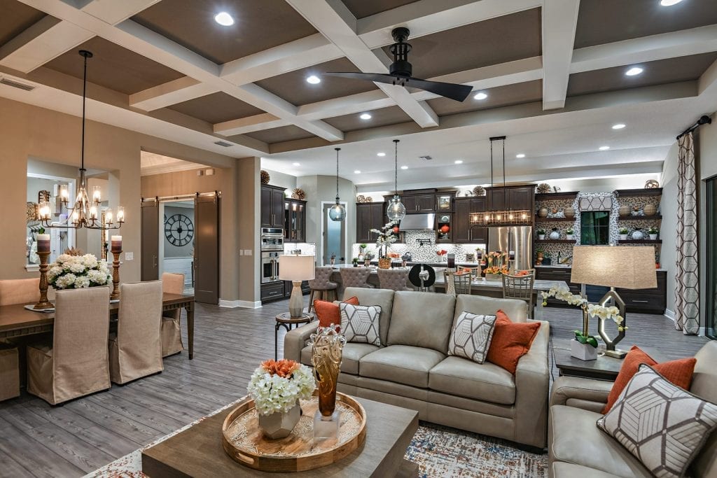 Kitchen and living room with white tray ceiling detail